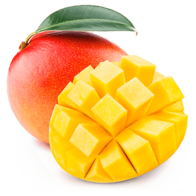 MANGO KG