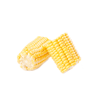 CHOCLO TROZO CONGELADO 1 KG 2