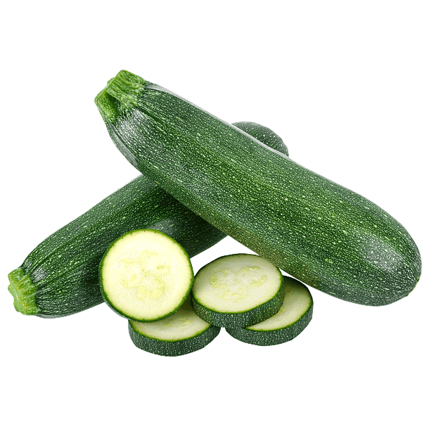 ZAPALLO ITALIANO UNIDAD 1