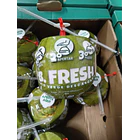 COCO FRESCO UNIDAD 1