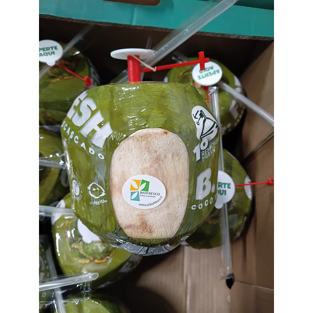 COCO FRESCO UNIDAD 2