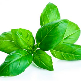 ALBAHACA PAQUETE 250G