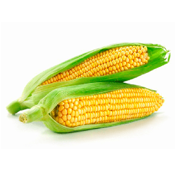 CHOCLO HUMERO/PASTELERO UNIDAD