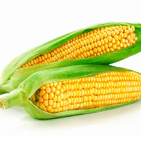 CHOCLO HUMERO/PASTELERO UNIDAD