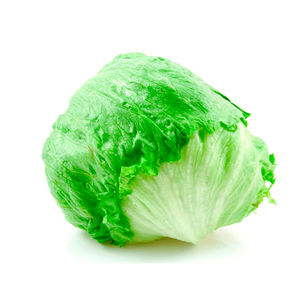LECHUGA ESCAROLA UNIDAD