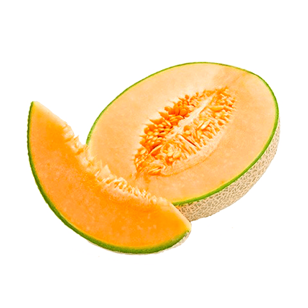 MELON CALAMEÑO UNIDAD 1