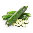 ZAPALLO ITALIANO UNIDAD 2