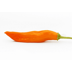 AJI AMARILLO 200GRS