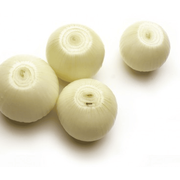 CEBOLLA BLANCA PELADA KG