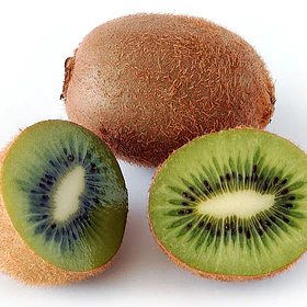 KIWI KG