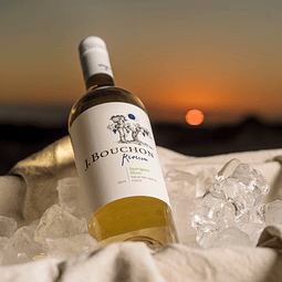 J. Bouchon Reserva Sauvignon Blanc 2019