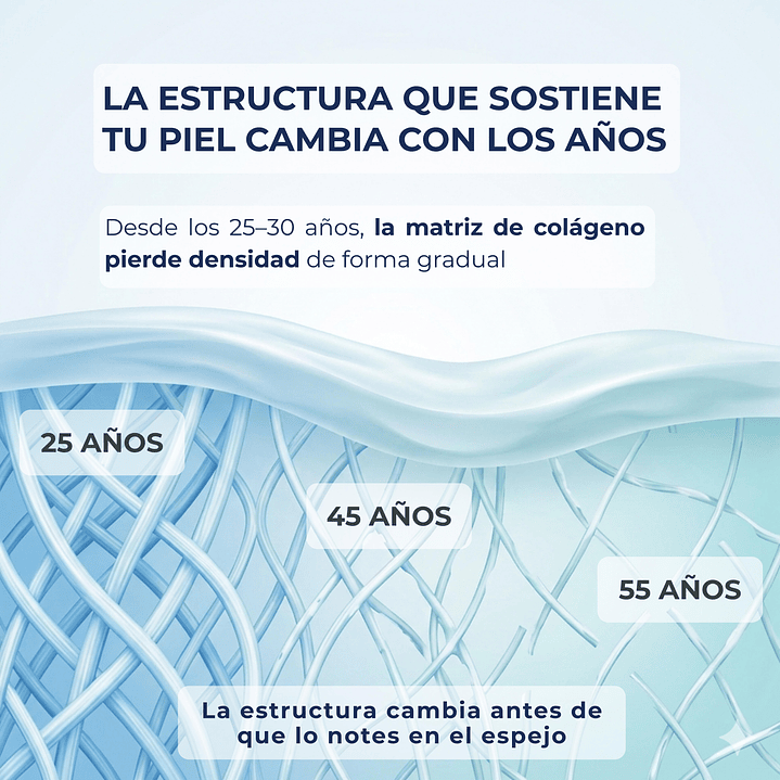 COLÁGENO FORTE 800mg 2