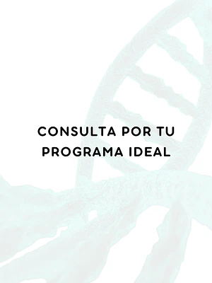 Consulta por tu programa ideal