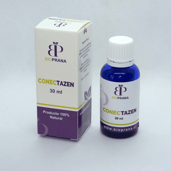 CONECTAZEN - Autismo 2