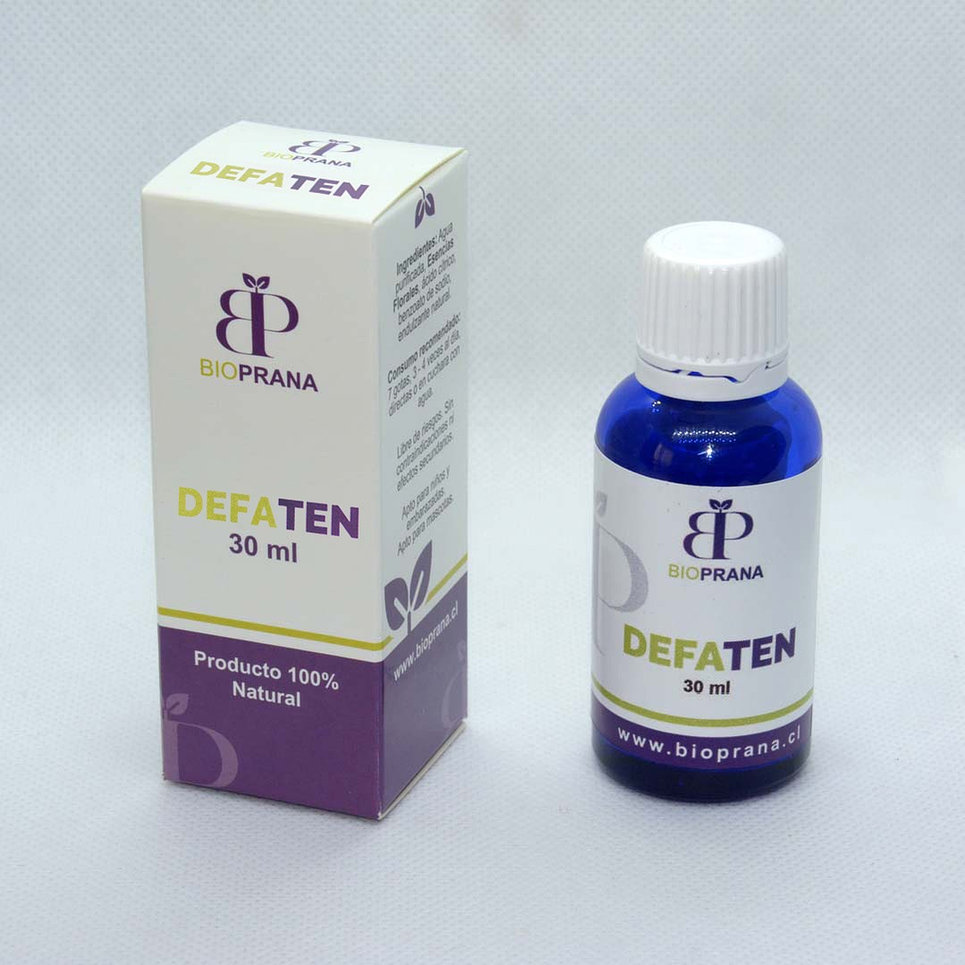 DEFATEN - Concentración 2