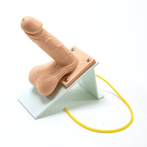 Modelo de Simulador de Preservativo Masculino