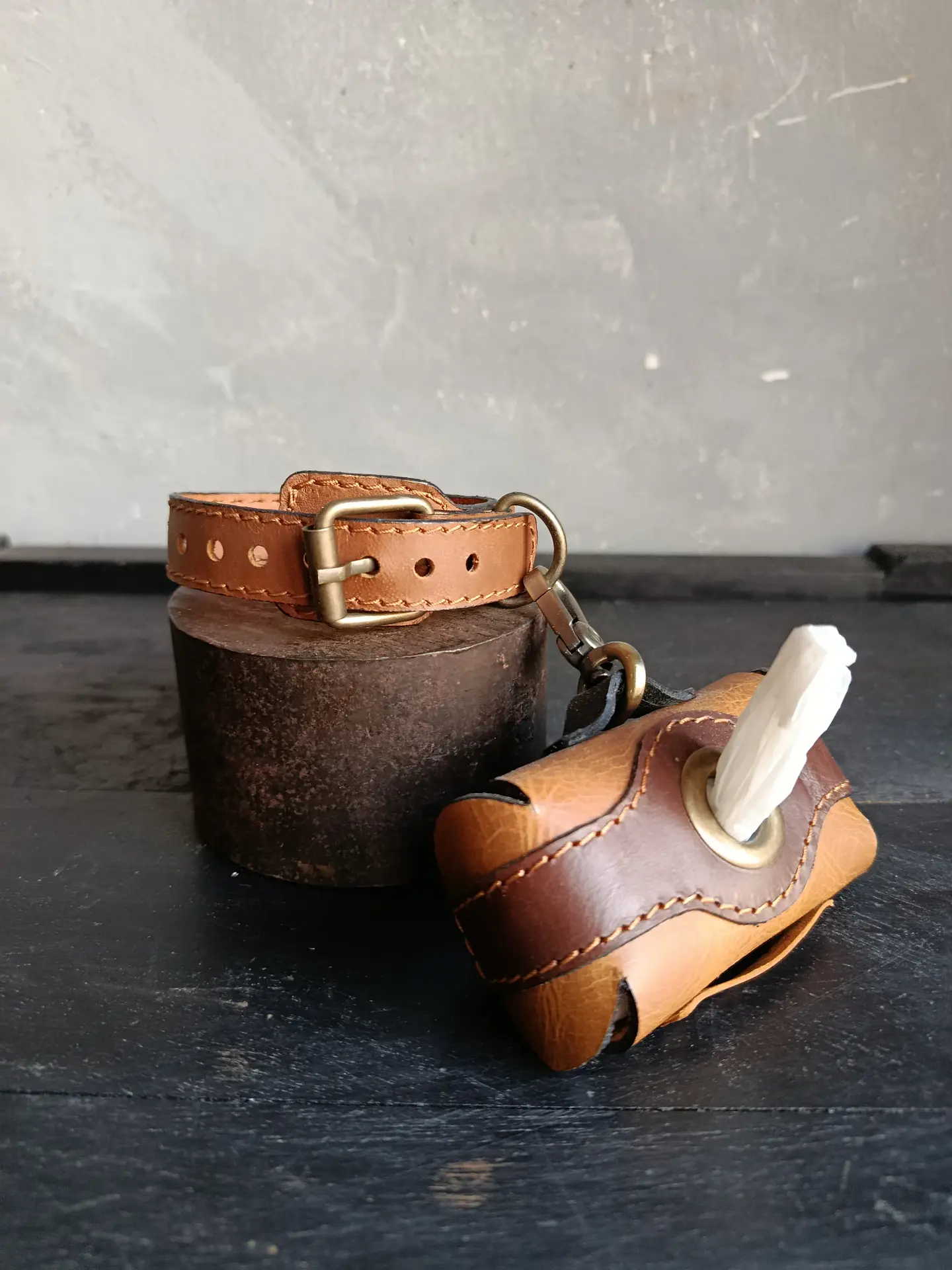 Kit collar y dispensador de bolsas 1