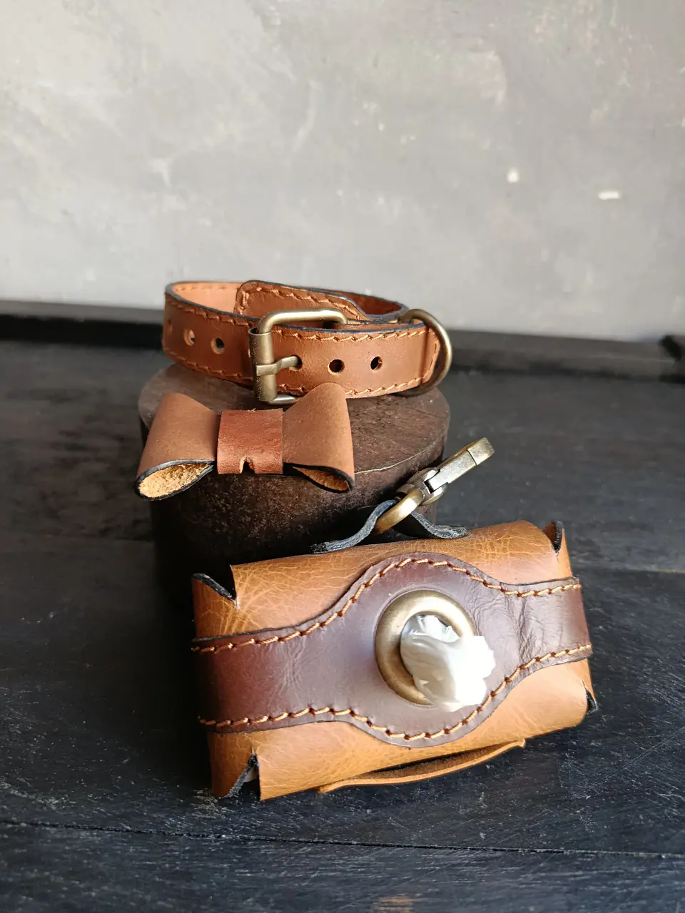 Kit collar y dispensador de bolsas 2