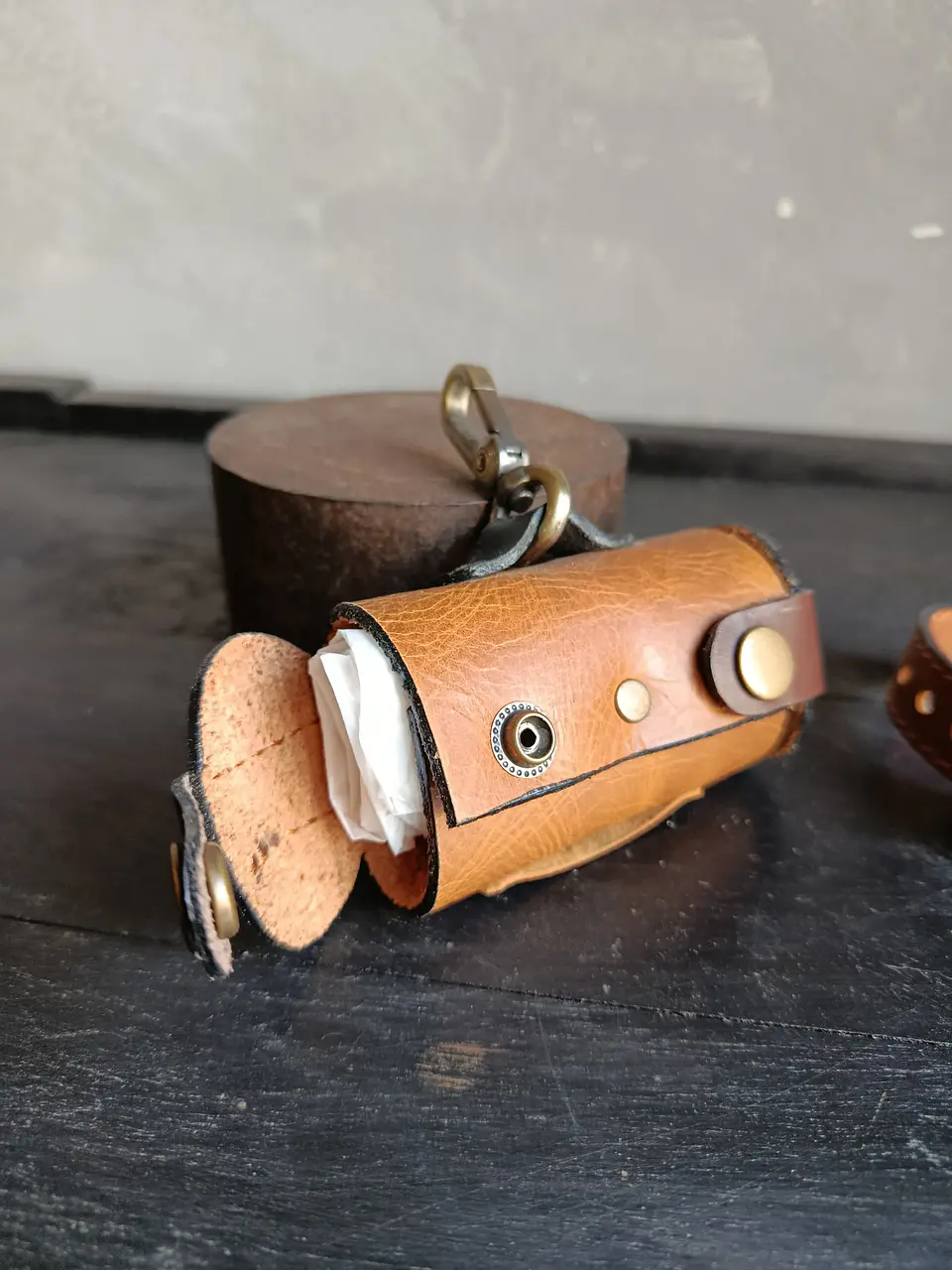 Kit collar y dispensador de bolsas 4