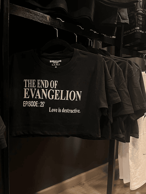 Crop Evangelion Title Card Episode 25