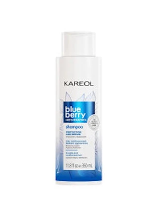 Acondicionador Blueberry Resveratrol Kareol 350 ml