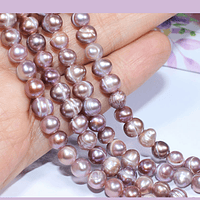 Perla de río 5 a 6 mm, color palo rosa, ovalada irregular, calidad medio, tira de 60 perlas aprox.