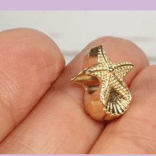 Estrella de mar con conchita, en baño de oro, 18 x 10 mm, por unidad