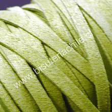 Gamuza gruesa verde pistacho, 5 mm de ancho, por metro