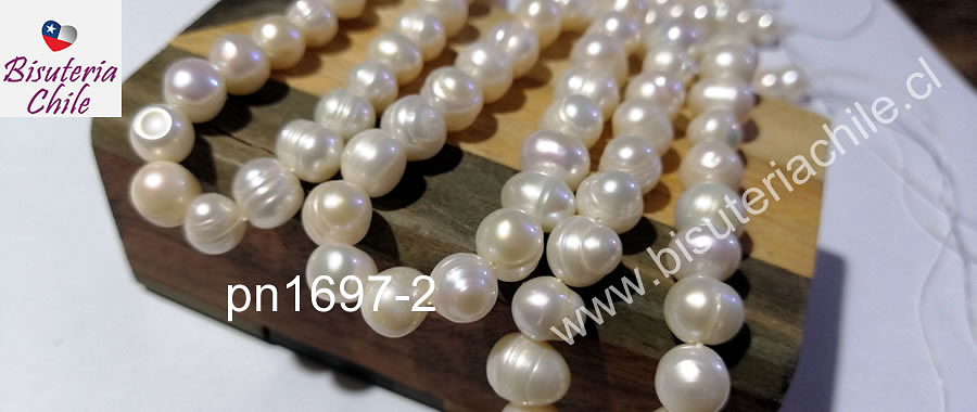 Perla de río redondeada, calidad media de 8 mm aprox, tira de 40 perlas aprox.