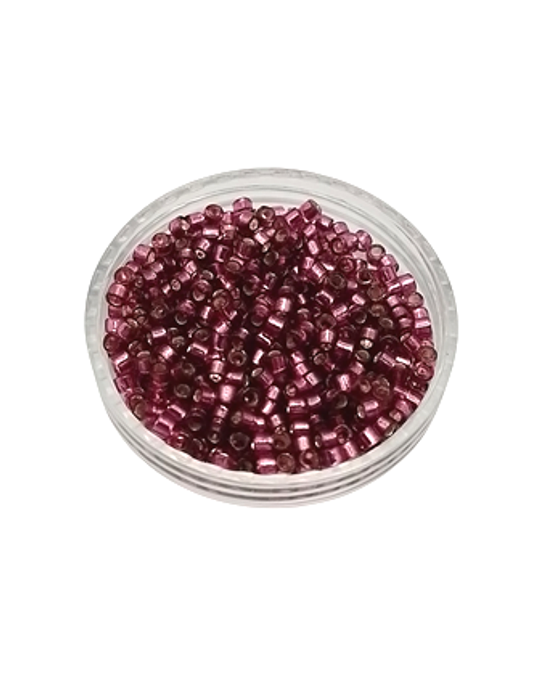 Delica miyuki 11/0 DB1342