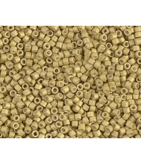 Delica miyuki 11/0 DB1164