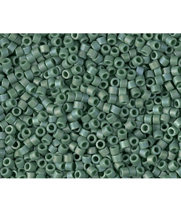Delica Miyuki 11/0 DB2313