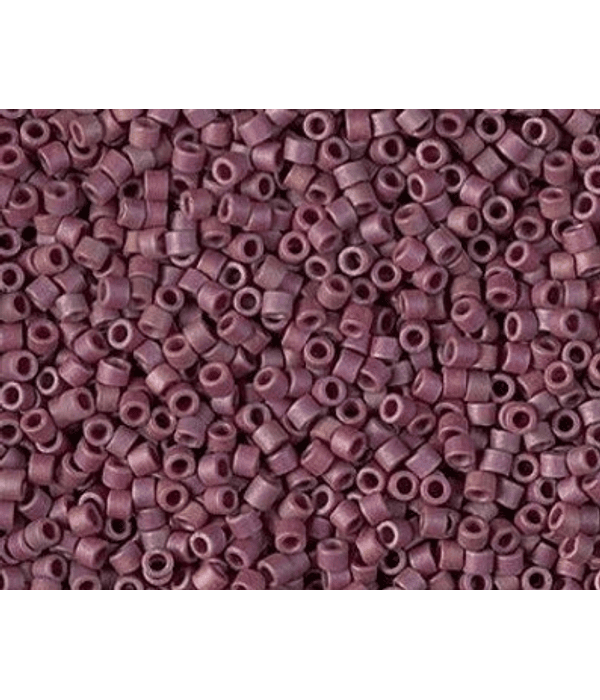 Delica miyuki 11/0 DB2308