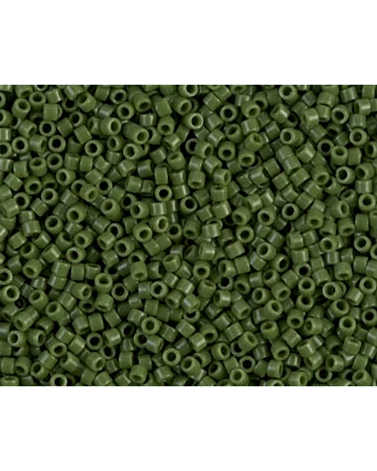 Delica miyuki 11/0 DB1135