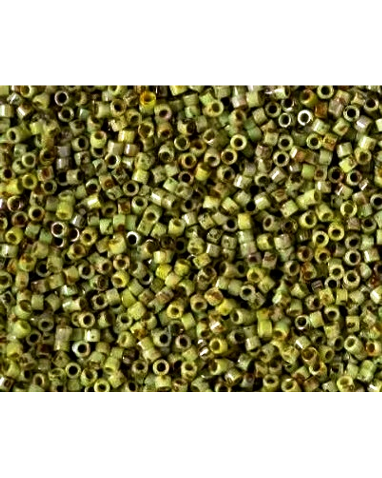 Delica miyuki 11/0 DB2265