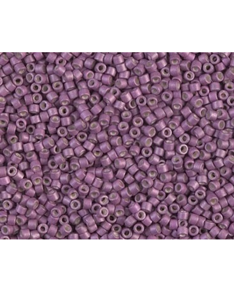 Delica miyuki 11/0 DB1173