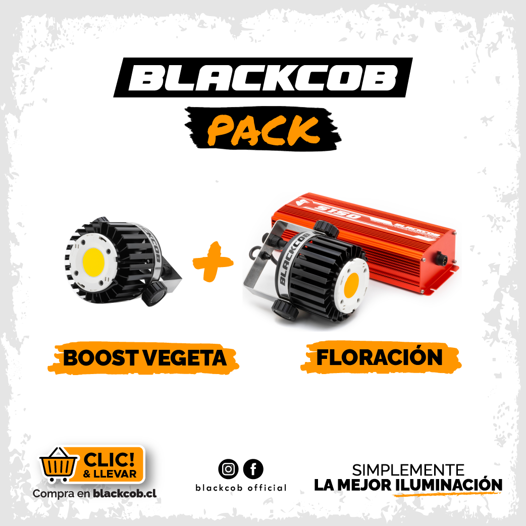 Pack 01 S150 + 01 Módulo Vegeta