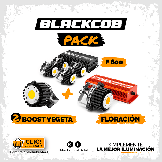 Pack 01 F600 + 01 S150 + 02 Módulo Vegeta
