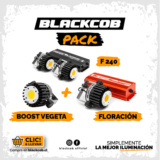 Pack 01 F240 + 01 S150 + 01 Módulo Vegeta