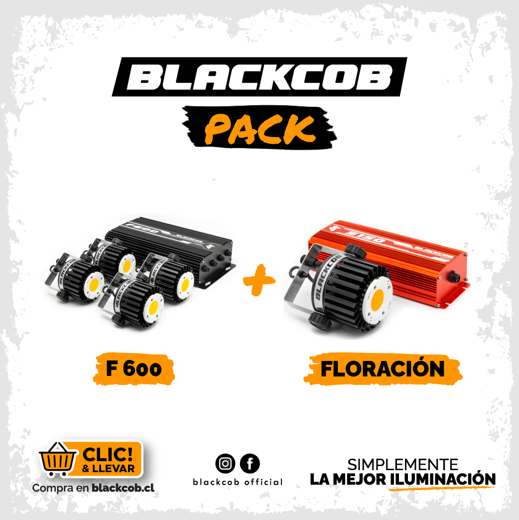 Pack 01 F600 + 01 S150