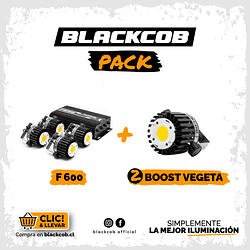 Pack 01 F600 + 02 Módulo Vegeta
