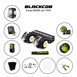 KIT Blackcob F240 carpa 80x80