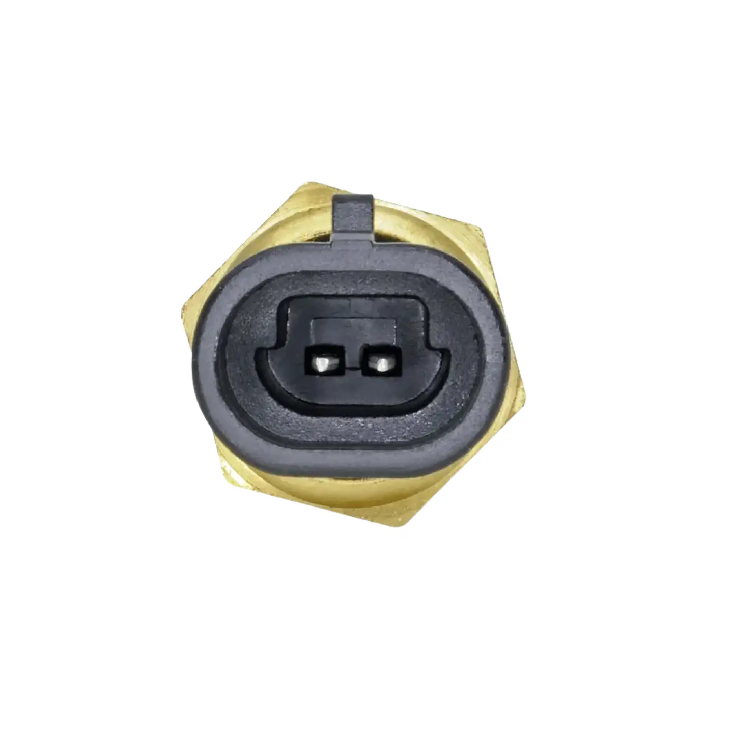 Sensor de Temperatura de Motor RAM 2