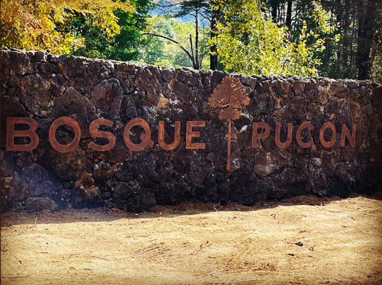 Bosque Pucón – Letrero de Acceso en Acero Corten