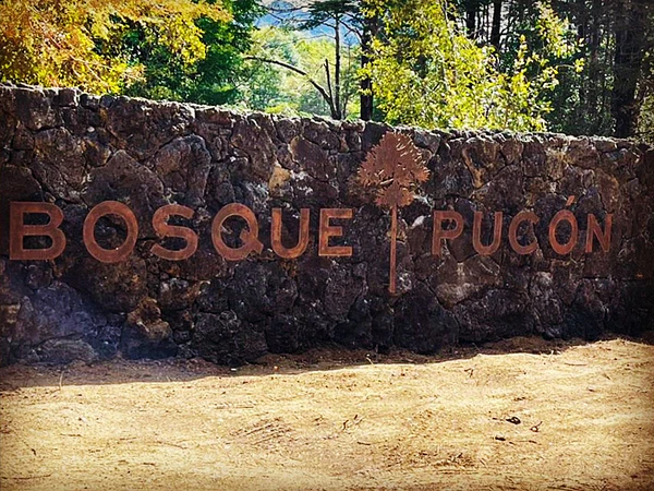 Bosque Pucón – Letrero de Acceso en Acero Corten