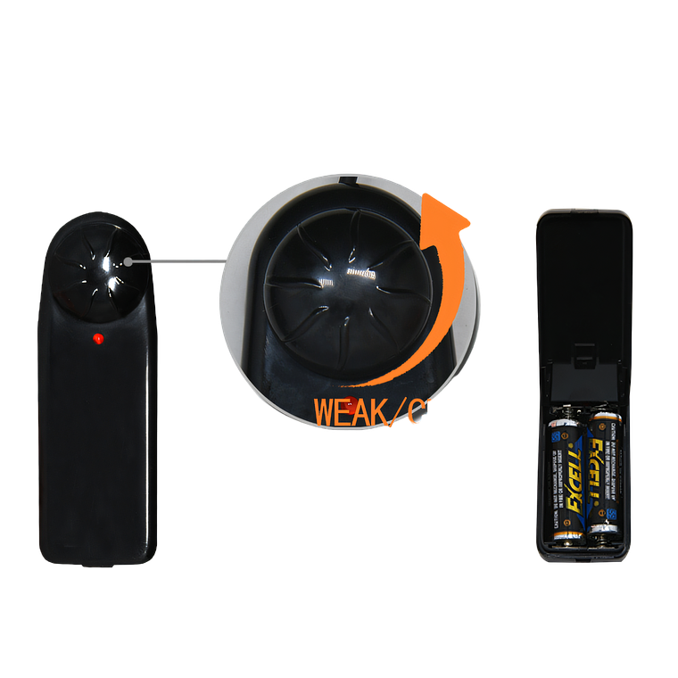 Arnés Funda y Dildo con vibrador 3