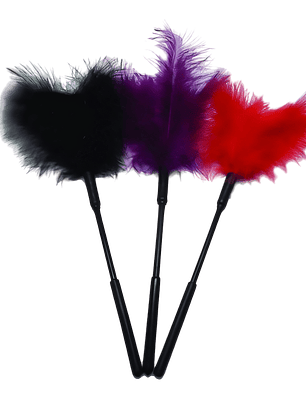 Pluma Traviesa de Colores S&M