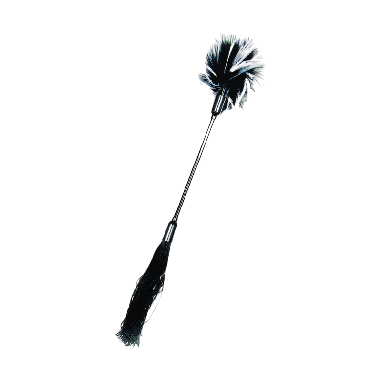 Látigo y Cosquillas 2