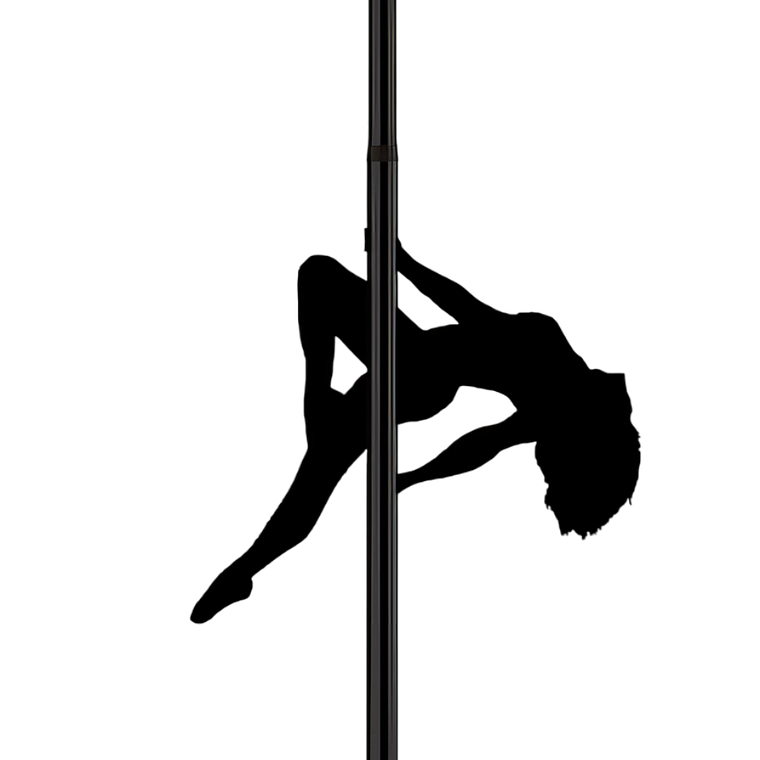 Pole Dance Kit 1