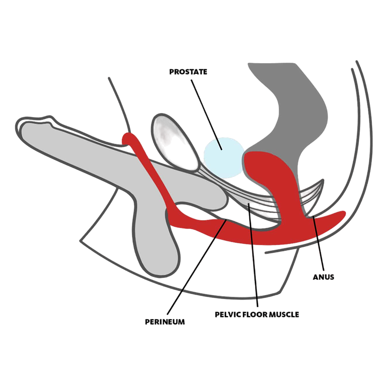 Anillo con Estimulador Prostático Bootie Ring: El anillo vibrador que revolucionará tu intimidad 3